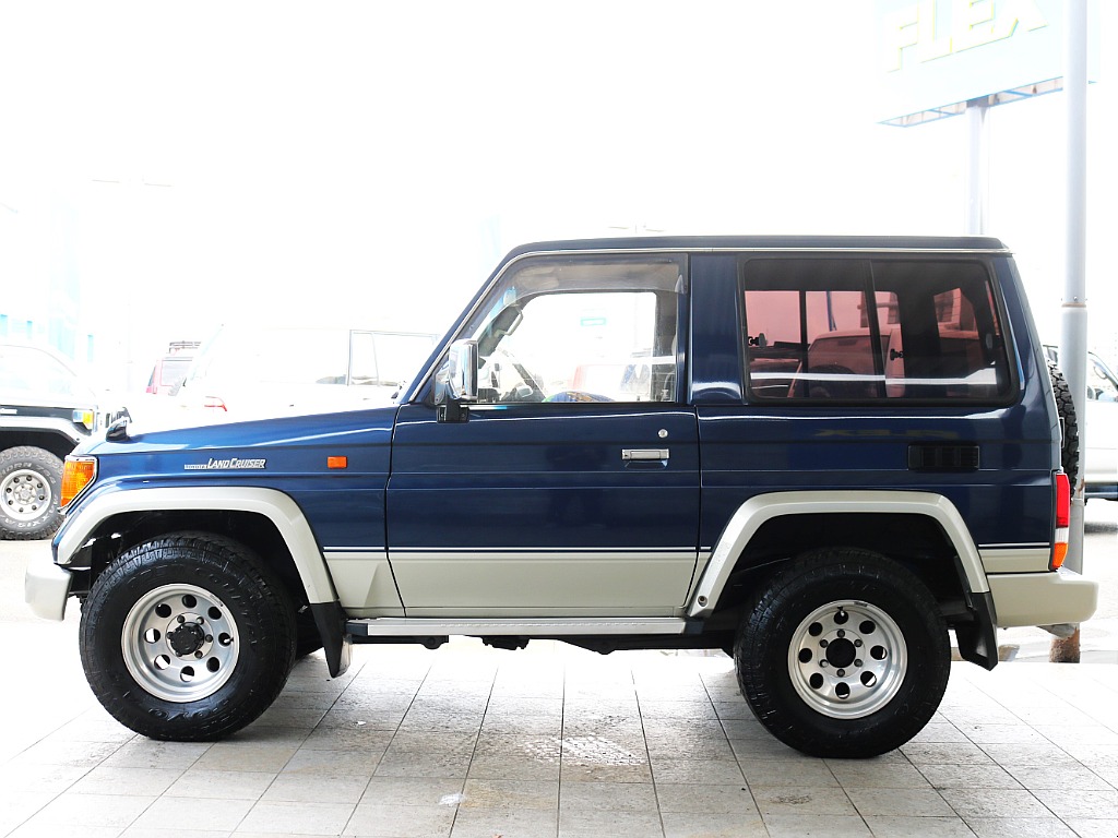 Side of a 1995 Land Cruiser Prado 71